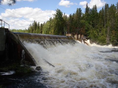 Water flowing over the Eustis Hydro Dam, thick trees in the background.
